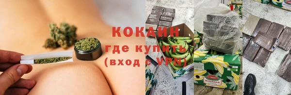 прущие грибы Бугульма