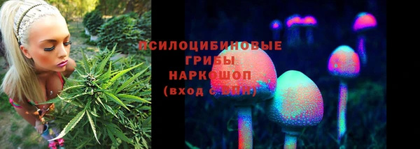 мдма Бородино
