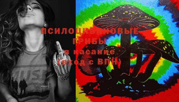 мдма Бородино