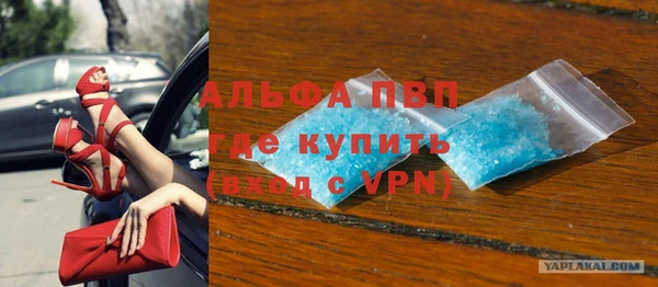 прущие грибы Бугульма